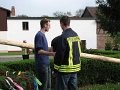 maibaum (4)